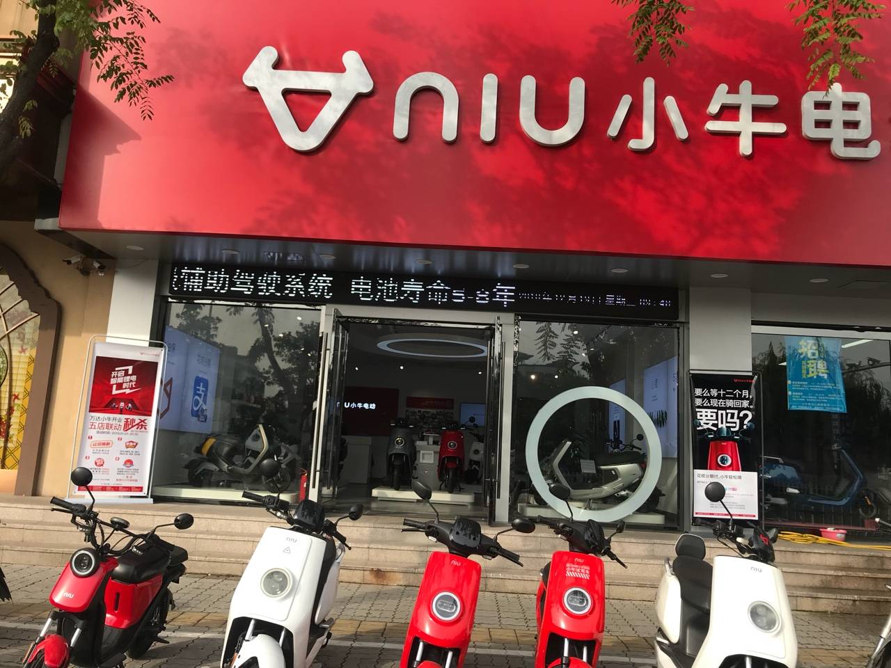 小牛电动招人啦