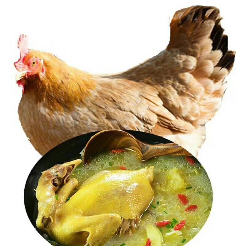 草鸡蛋!老鹅!顺路送货!