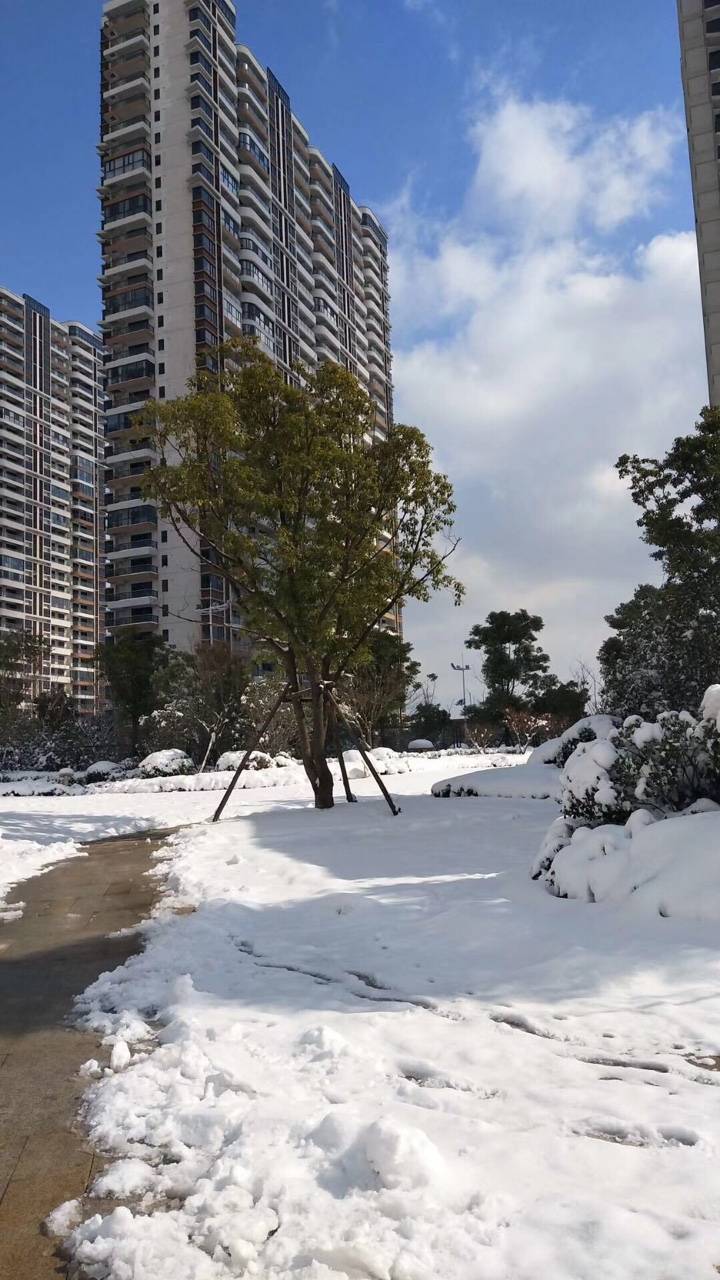 扬子华都雪景照 - 楼市讨论 - 江阴论坛