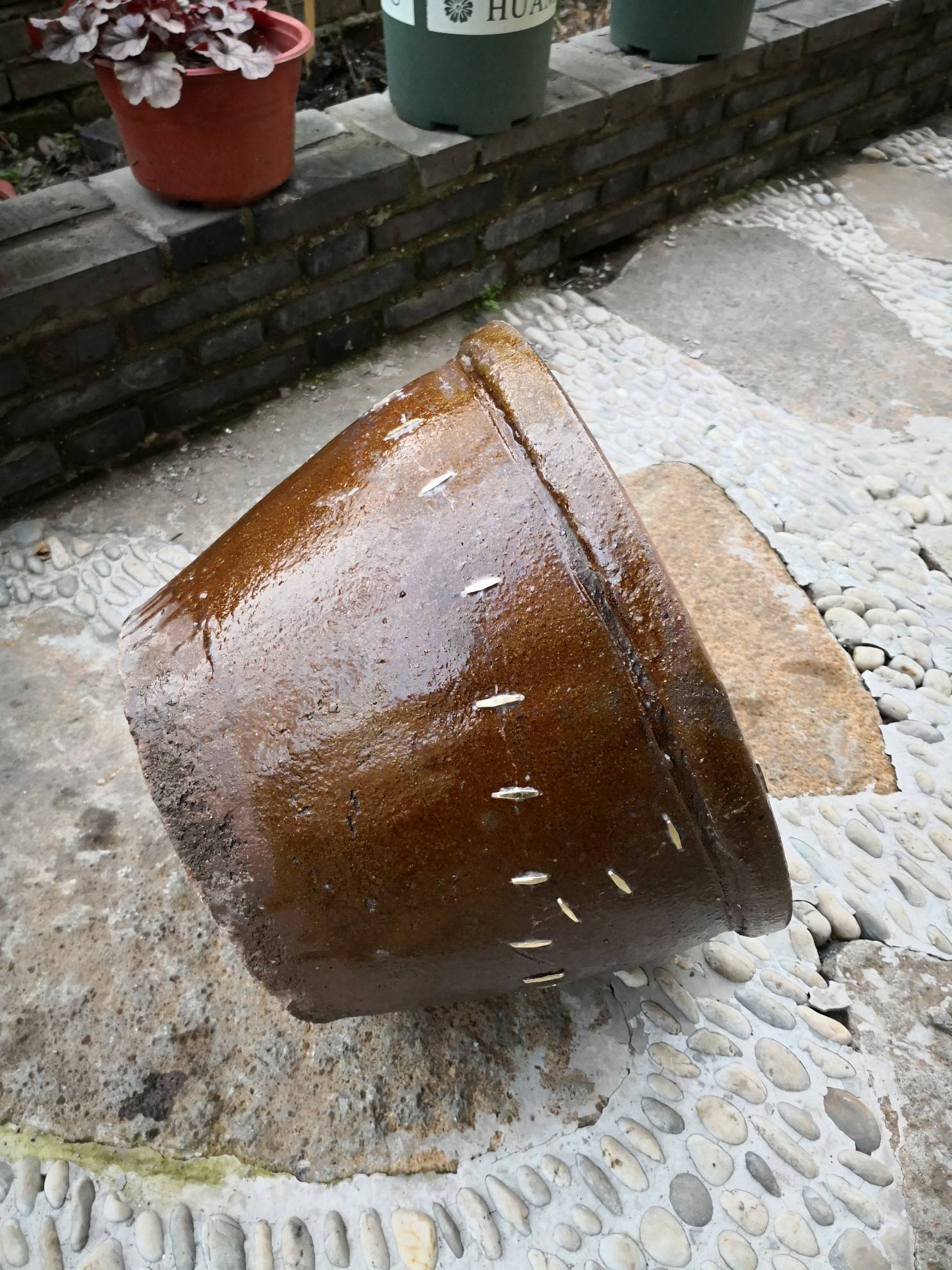 锔个缸,等夏天的莲花开