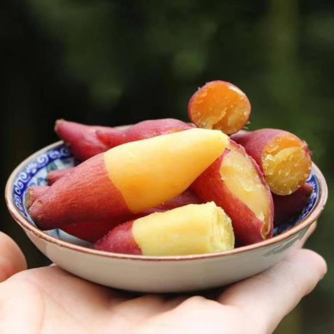 海南种植 临安小番薯 团购来袭 软糯香甜 无公害