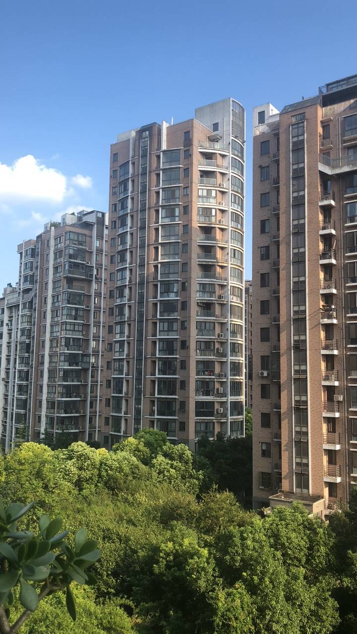 春江华庭低价出售