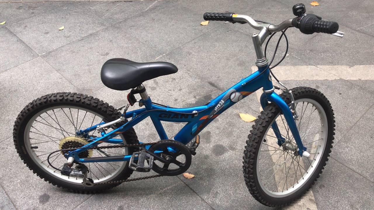 捷安特20寸自行车便宜卖