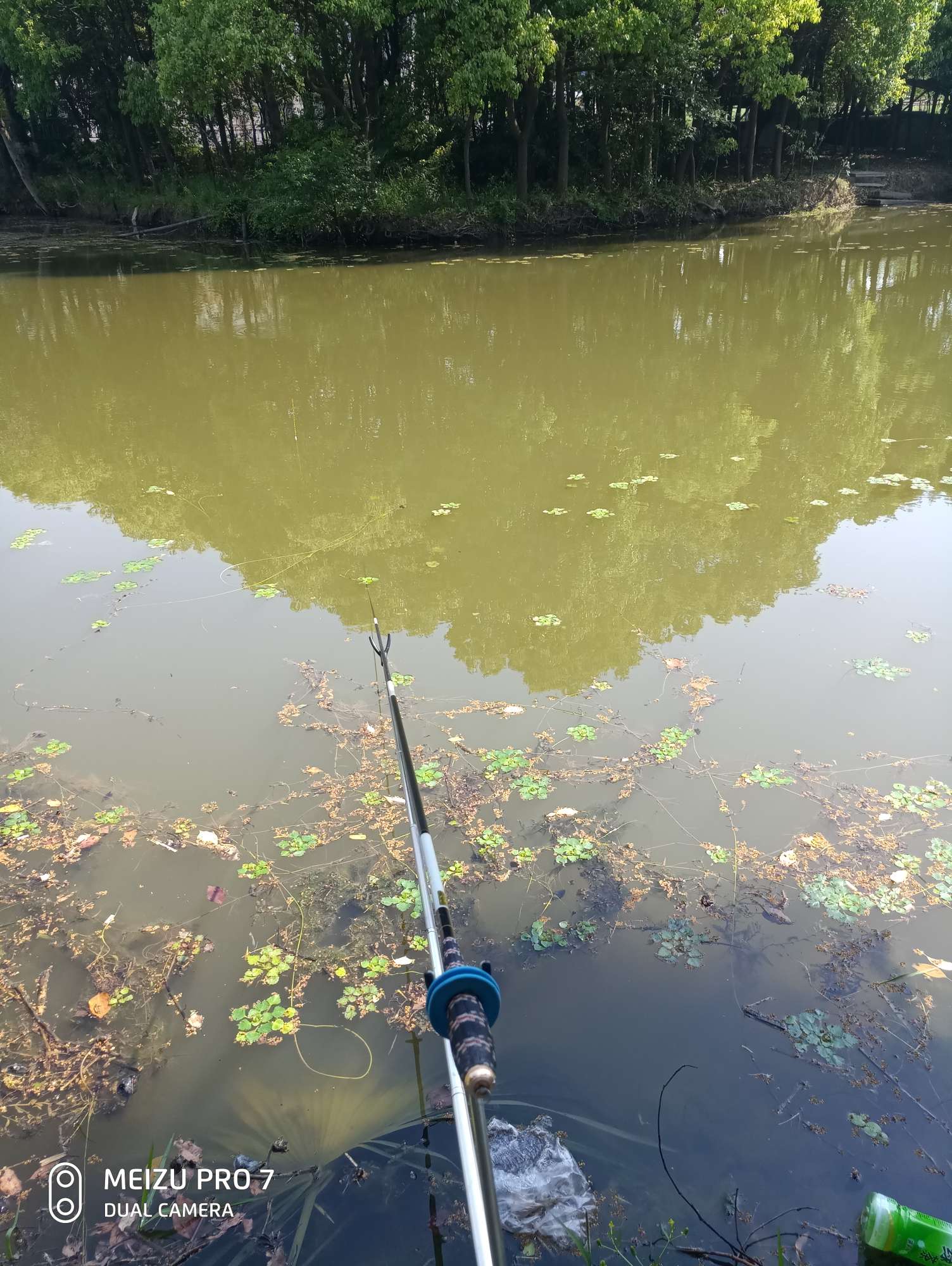 江陰野釣難,難求一碗魚!