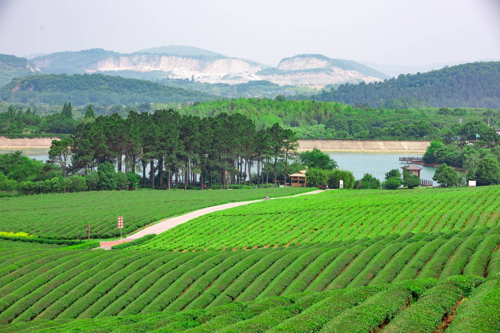 罗山县龙池风景区图片