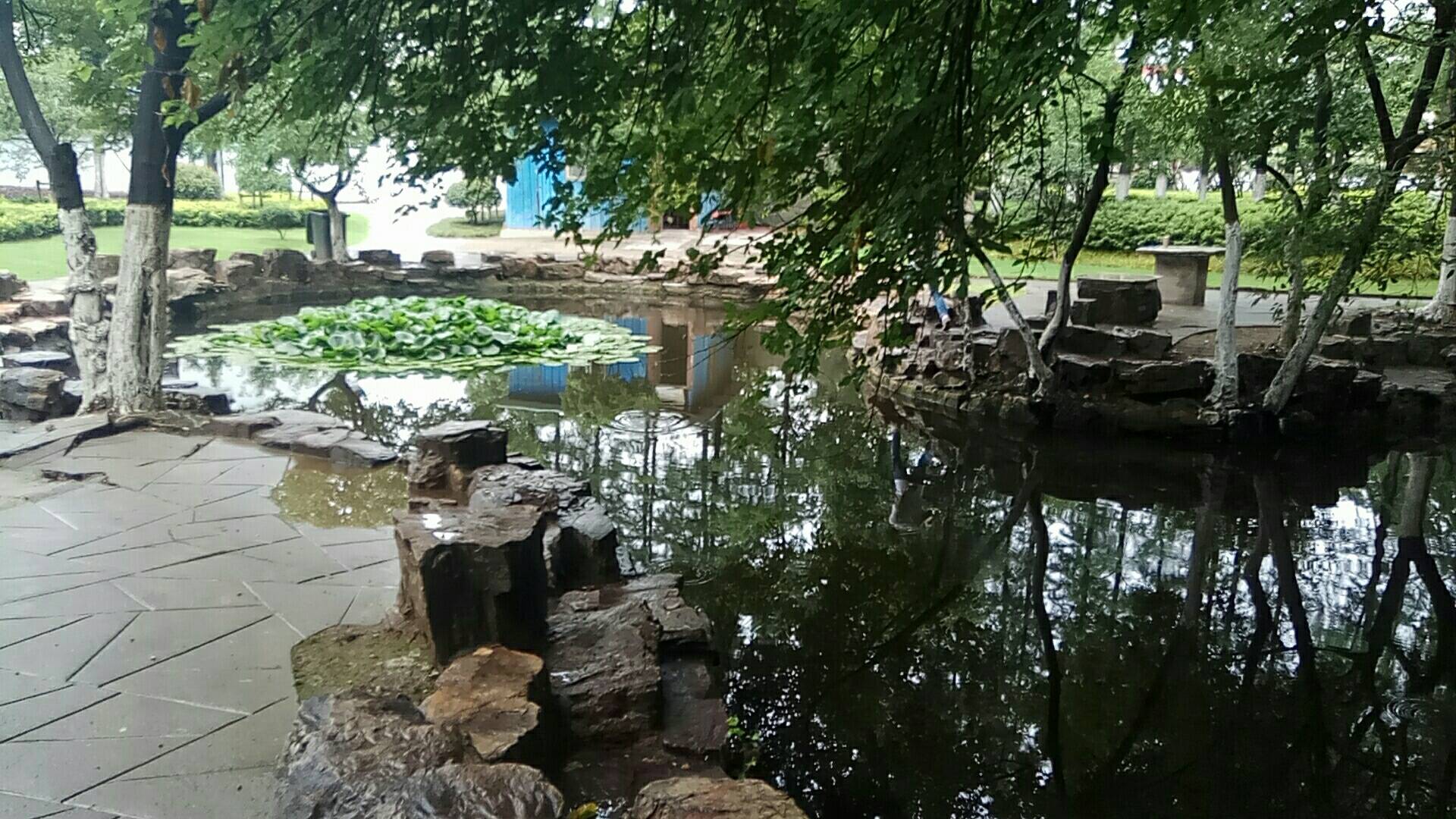 君山公园现在可以爬上去了? - 小城生活 - 江阴论坛