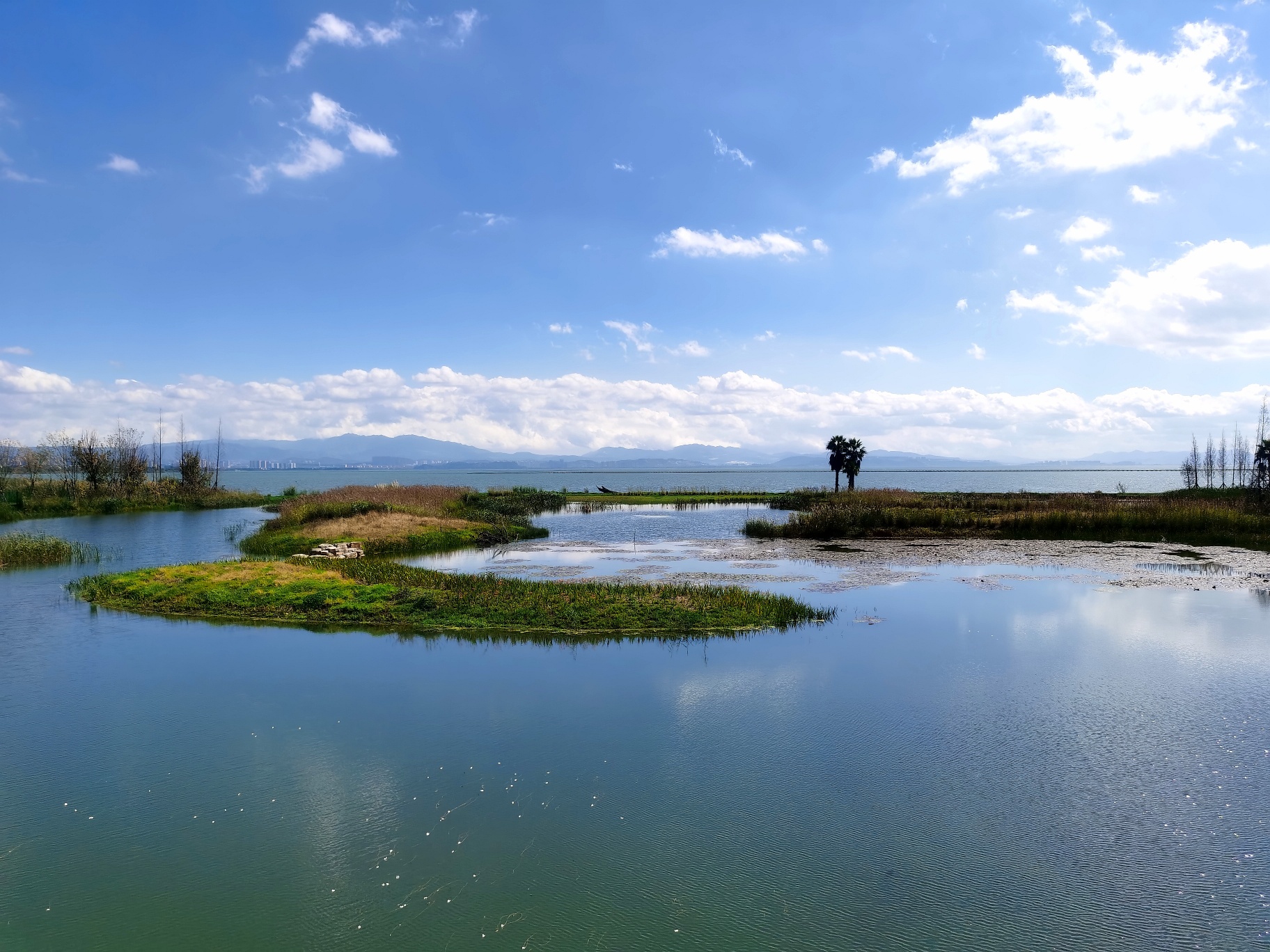 cop15生物多样性大会指定湿地公园→昆明宝丰湿地公园