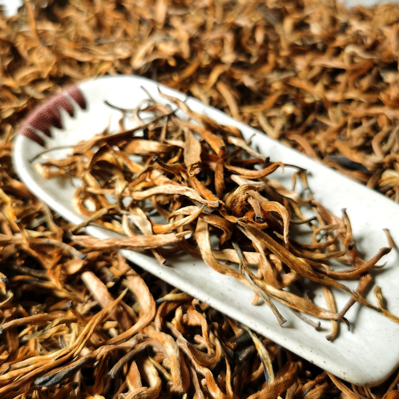 云南凤庆滇红蜜香金芽