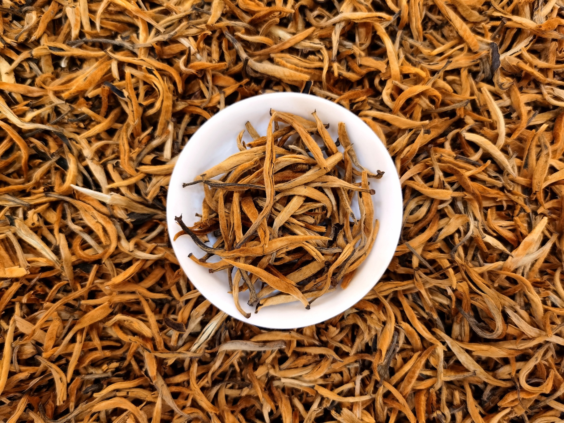 云南凤庆滇红蜜香金芽