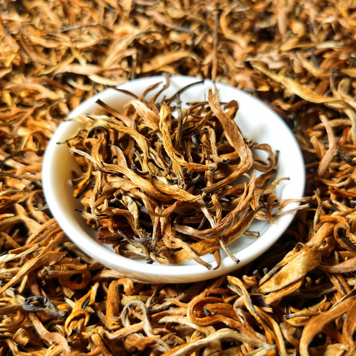 云南凤庆滇红蜜香金芽